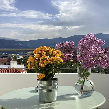 Thea Cozy Апартаменты