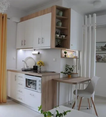 Thea Cozy Διαμέρισμα Βόλος